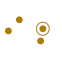 DISTRIBUIÇÃO